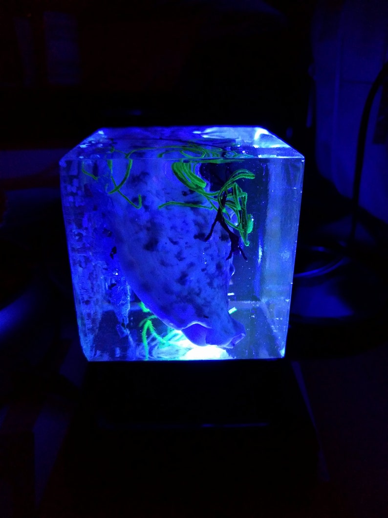 Night Meditation Ocean in a cube resin multi color 3 LED 