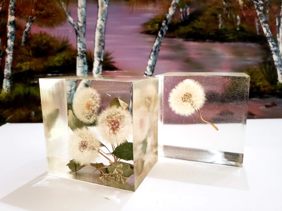 Preserving Dandelion In Large Resin Cube Paperweight Keepsake Etsy Preserving Dandelion In Large Resin Cube Paperweight Keepsake Etsy