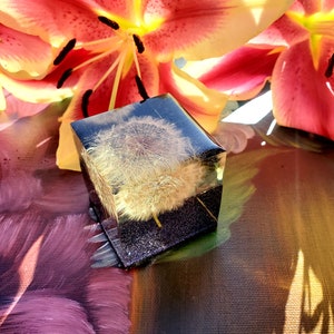 Real Flowers Dandelion  in cube keepsake paperweight NATURAL GIFT. Dandelion Paperweights. Home Office Deck Decor.Gift.Glass like.Crystals