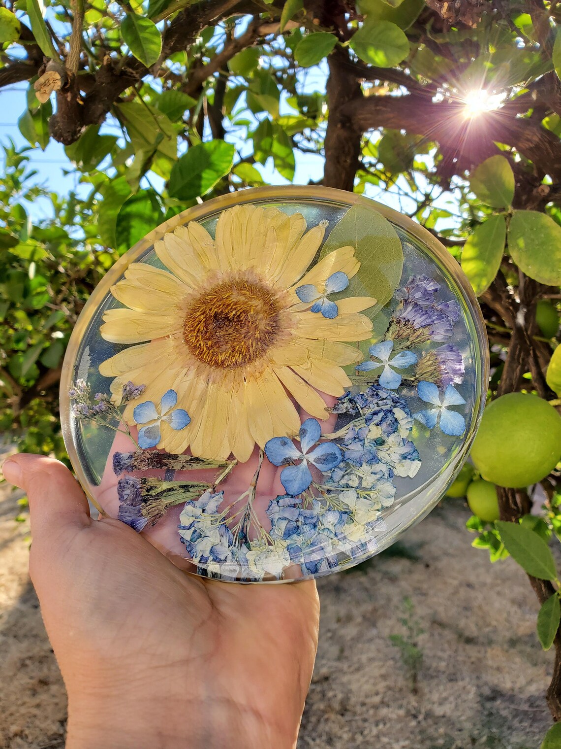 Wedding Pressed Flowers Preservation Bouquet Keepsake Etsy