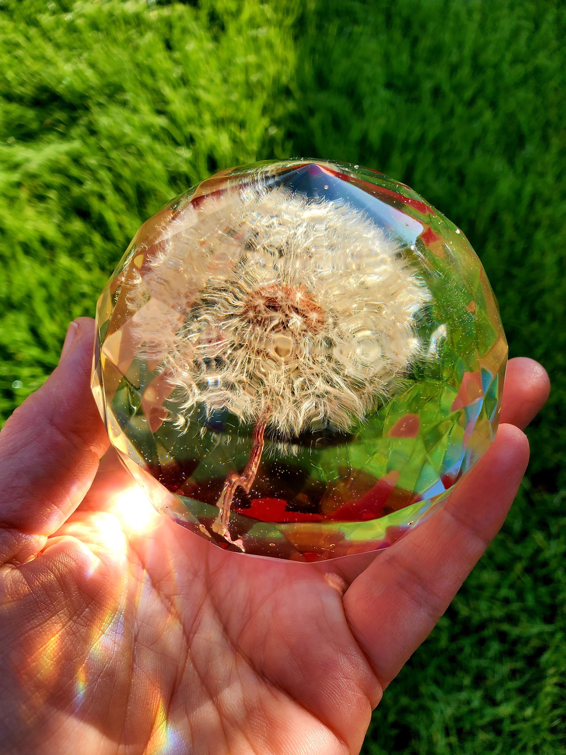 Sustainable Plant Based Eco-Resin Sphere Paperweight - Dandelion