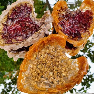 Pet Ashes Memorial: Resin Angel Wings Keepsake Urn
