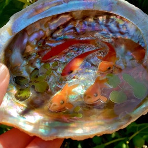 May include: A seashell with an iridescent interior, filled with clear resin and three orange goldfish. The shell is a natural abalone shell with a pearlescent finish.