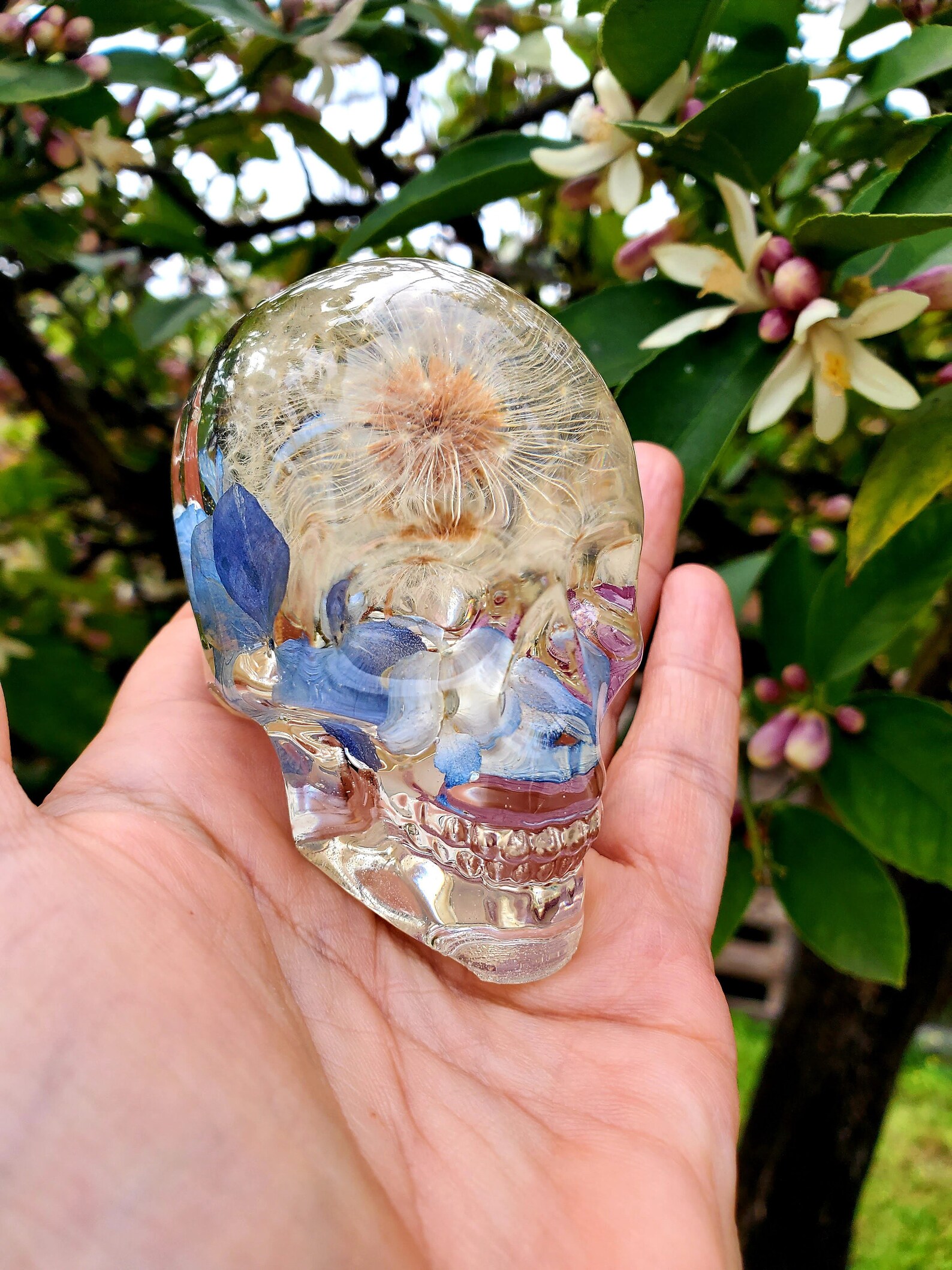 Resin Skull Real Dandelion Preserved Flowers Paperweight Etsy