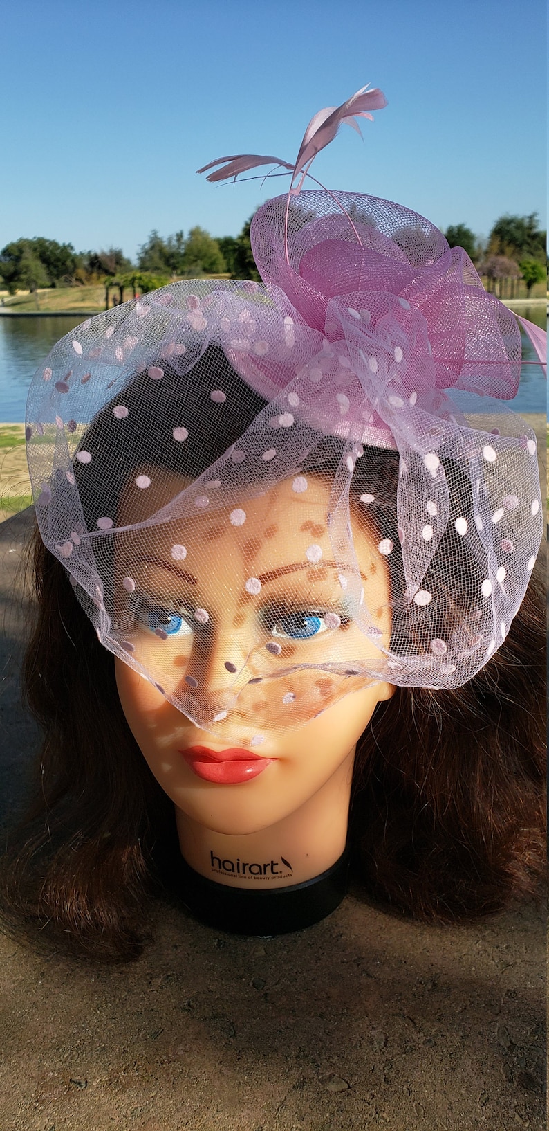Wedding Tea Party Mini Hat.Costume Feather Bird Cage Veil Hair Clip Head Accessory.Headpiece Pink Fascinator Derby Race Bridal Church Hat