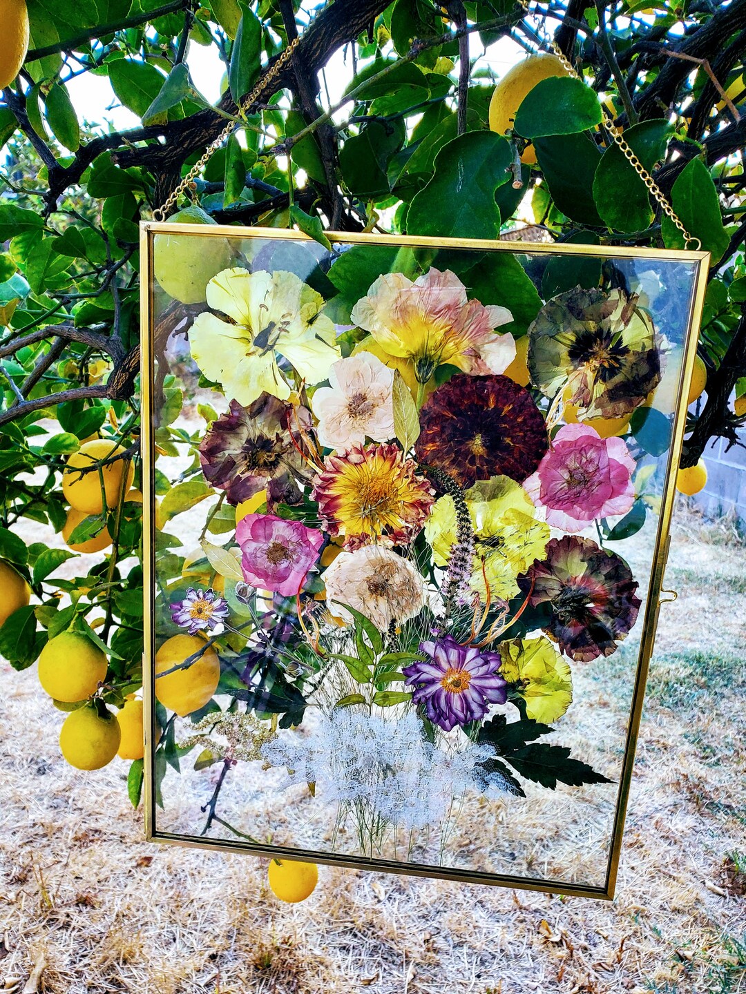 Preserved Pressed Wedding Flowers in Glass Frame Keepsake Etsy