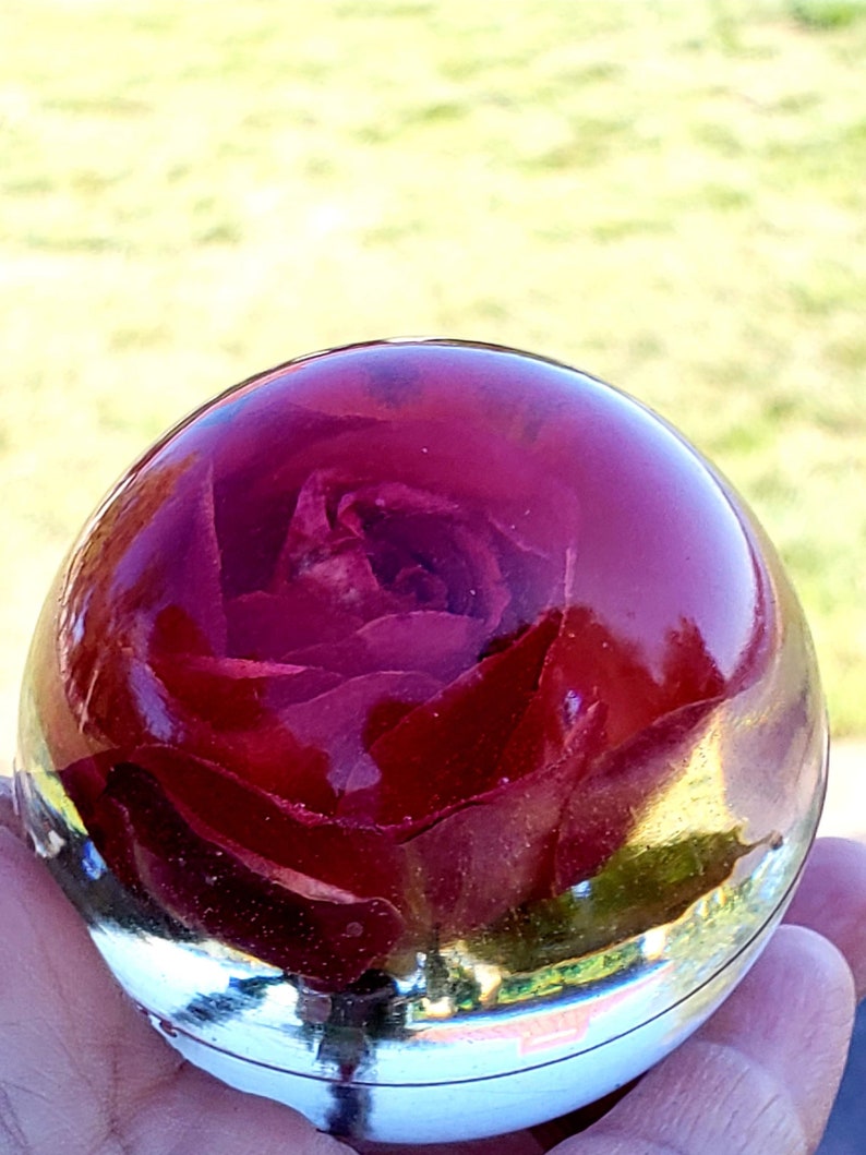 Handmade Rose Orb, Resin Preserved Flower Paperweight, Real Rose Anniversary Gift