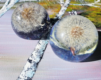 May include: Two clear glass spheres with a dandelion inside each. The dandelions are white and fluffy with brown centers. The spheres are sitting on a light purple and white textured surface.