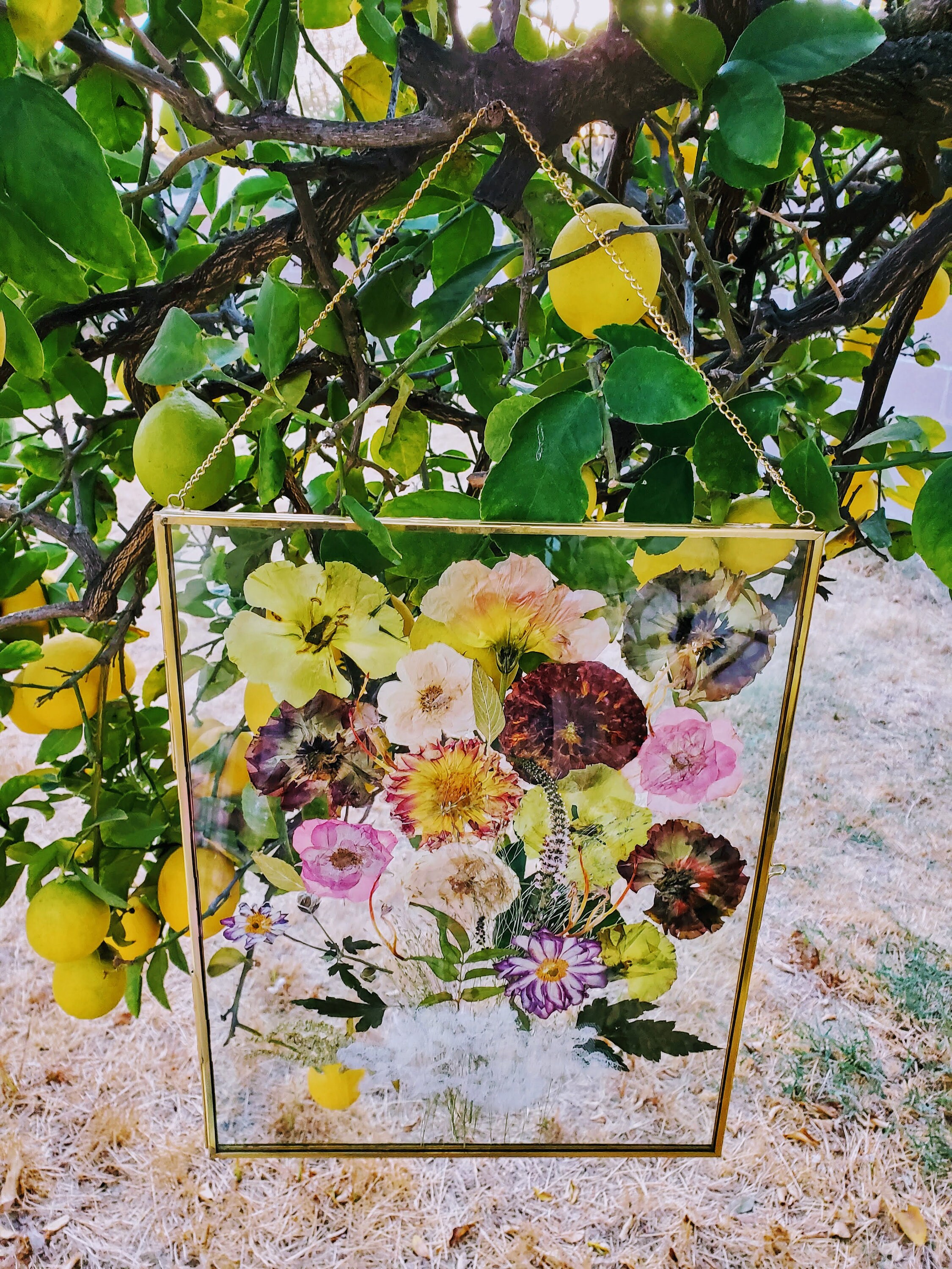 Preserved Pressed Wedding Flowers in Glass Frame Keepsake Etsy