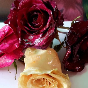 Wedding Bridal Funeral flowers preservation. Love never dies. Memorial paperweight keepsake.Preserving funeral flowers.Preserved Rose