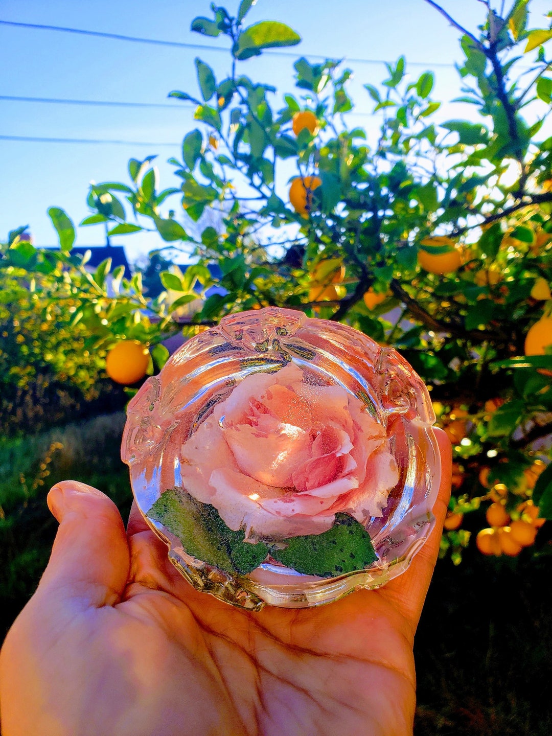 Resin Funeral Rose Flowers Crystals Paperweight. Beauty and the Beast