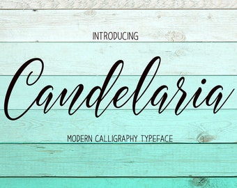 Font Digital- fonts- Font download- Calligraphy font- Handwritten font- script font- Wedding font- Instant download- script font download