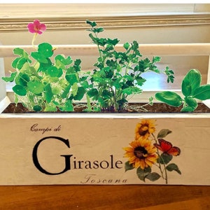 May include: White wooden planter box with a handle, featuring a floral design with sunflowers and butterflies. The planter is filled with green plants and the text "Campi di Girasole Toscana" is printed on the front.