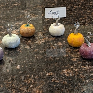 May include: A set of nine small, painted pumpkins with metal rings for holding place cards. The pumpkins are in various colors, including gray, white, orange, and purple. The word "Guest" is written on a card in a white card holder.