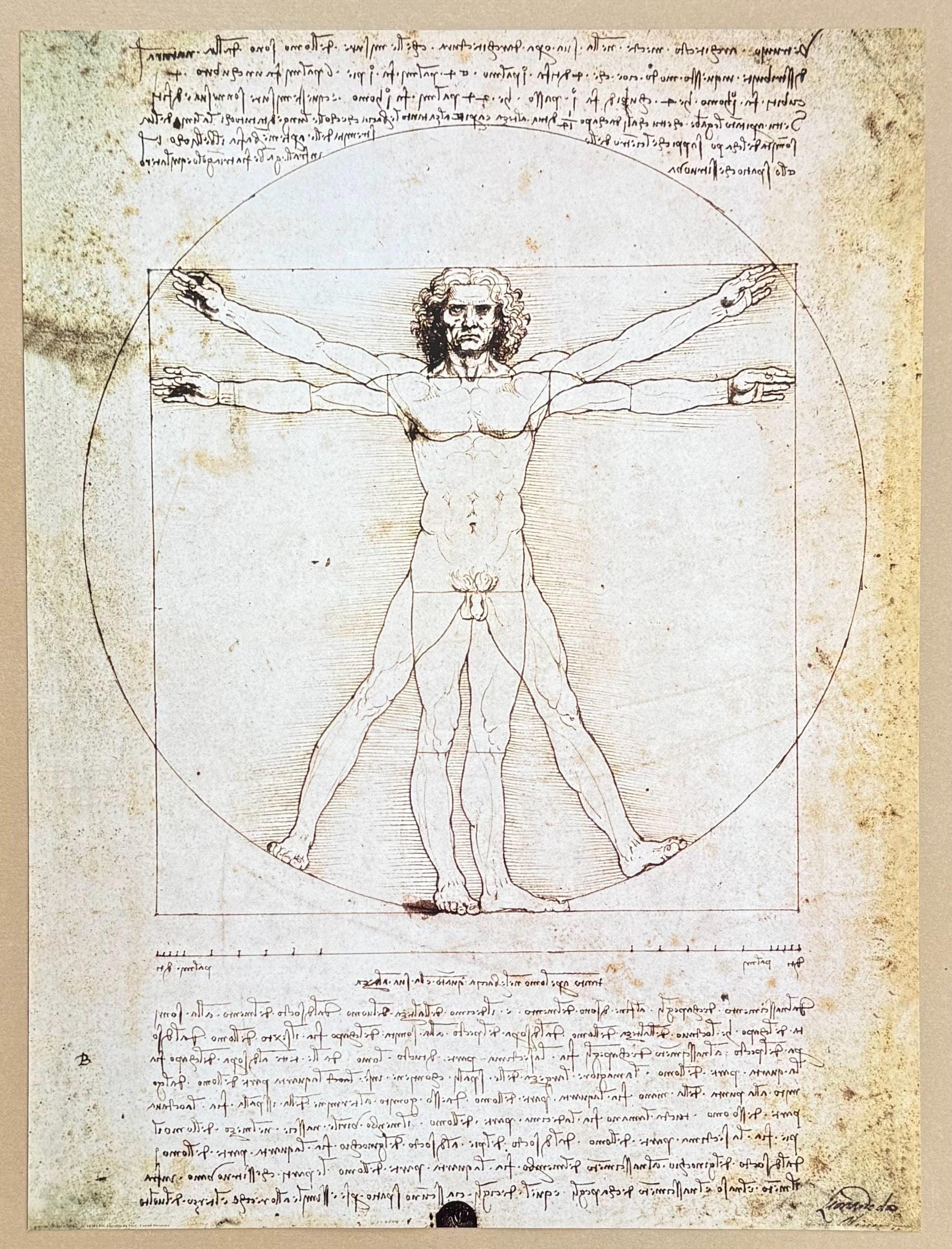 Leonardo Da Vinci Exhibition Poster - the Vitruvian Man
