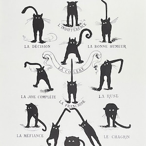 Le Chat Domestique at son Caractère plakat wystawowy-kot domowy i jej postać-druk artystyczny-zwierzę-zwierzę domowe-zabawne