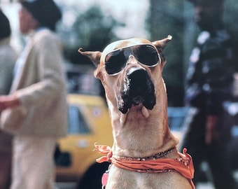 Annie Sprinkles - Etsy UK