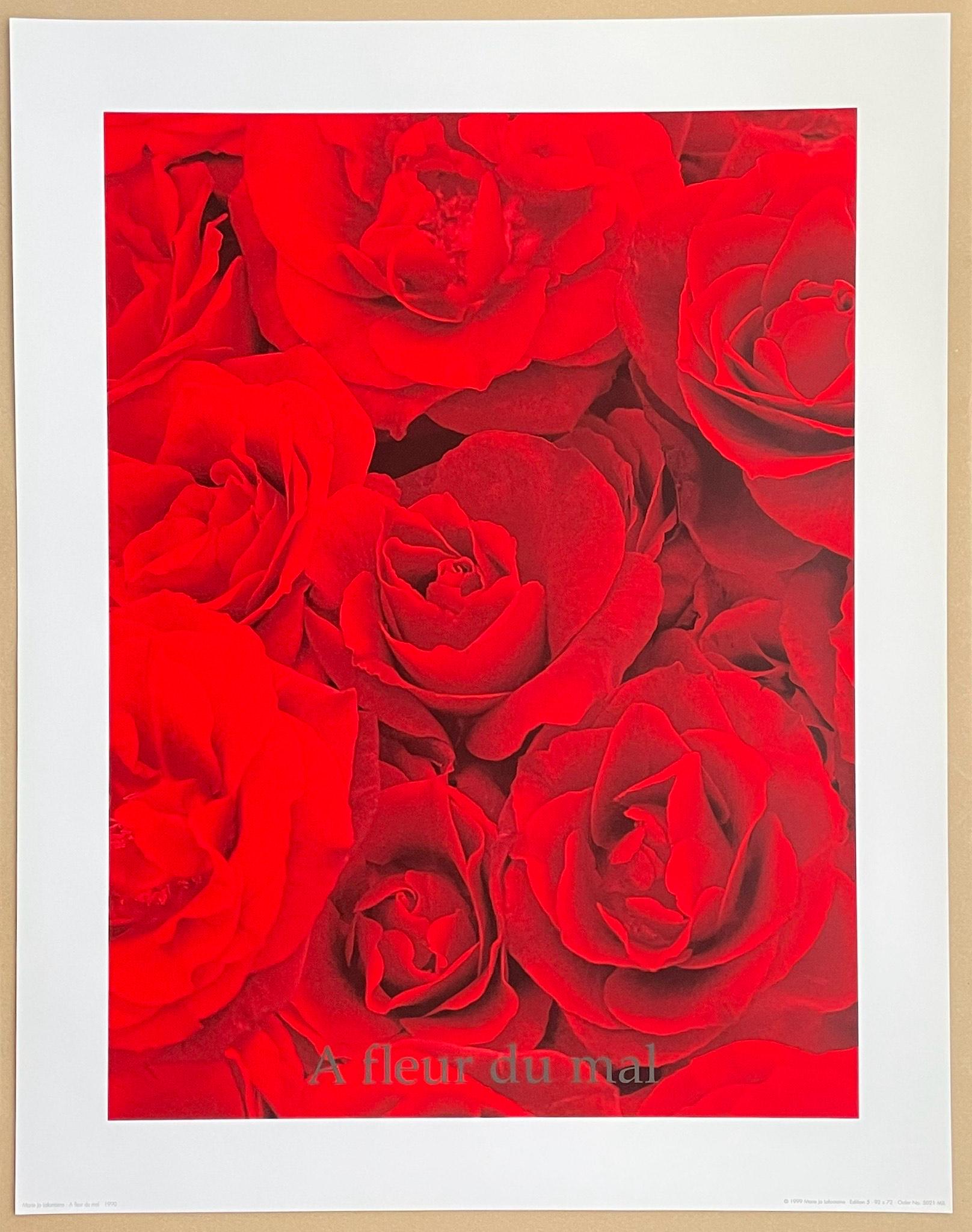 マリー ジョー ラフォンテーヌ展ポスター - A Fleur du Mal - ベルギー 
