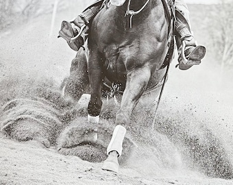 Rodeo - Horse - Wild West - Cowboys - Western Style - exhibition poster - art print - photography