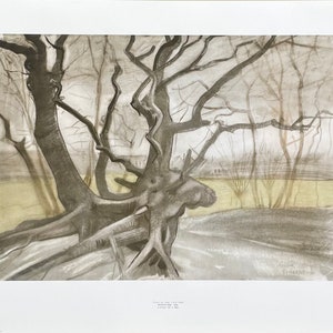Cartel de la exposición de Vincent van Gogh - Estudio de un árbol - naturaleza - paisaje - artista del museo - impresión de arte - litografía offset - años 70