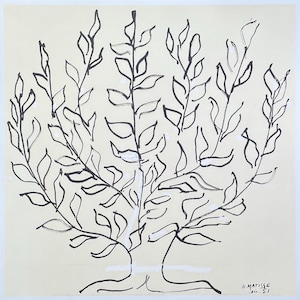 Peut inclure: Dessin à l'encre noir et blanc d'une plante avec de nombreuses feuilles. L'œuvre est signée "H. Matisse" et datée "dec. 51" en bas à droite. Les branches et les feuilles de la plante sont représentées par des traits audacieux sur un fond crème.
