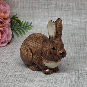 May include: A small ceramic rabbit figurine with a glossy brown finish and a cream-colored chest. The rabbit is depicted in a seated, alert posture with upright ears. The figurine is positioned next to a cluster of artificial cream and pink roses.