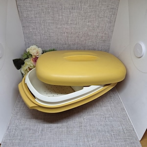 Vaporera Tupperware para verduras o arroz y plato para servir con tapa ~ Cosecha dorada y blanca ~ Vintage 4 piezas