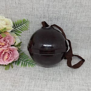 Könnte beinhalten: Ein dunkelbrauner, kugelförmiger Behälter mit passendem Riemen. Der Behälter besteht aus glänzendem Material und hat eine Naht in der Mitte. Der Riemen ist oben befestigt und hängt herunter. Der Hintergrund umfasst Blumen und Grün.