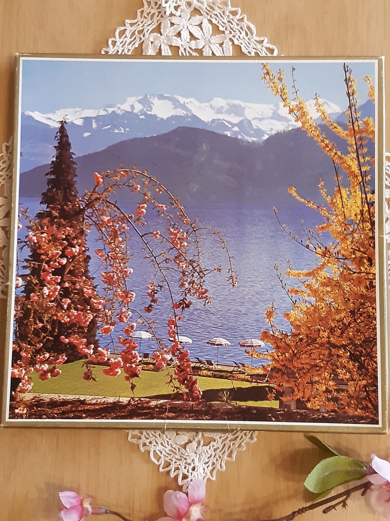 Embroidered Handkerchief Hankie Set in Box Made in Switzerland