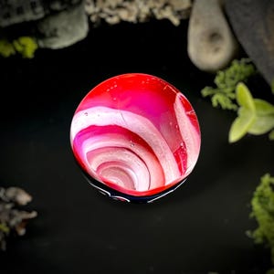 May include: A vibrant, hand-blown glass bowl with a swirling pattern of red, pink, and white. The bowl has a rounded shape and a dark blue rim, creating a striking contrast. The glass appears translucent, allowing light to pass through.
