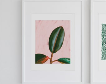 Rubber Plant Illustration, House Plant Print, Botanical House Plant Art Print for Wall Decoration, Rubber Plant Wall Art, Plant Artwork