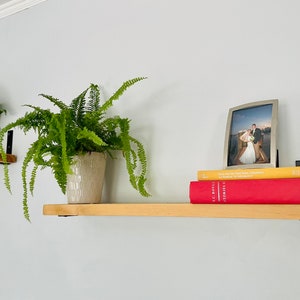 May include: Two wooden shelves with black metal brackets, one with a potted fern plant and the other with a framed photo and three books. The books are "Stories", "The Essential Guide to the World's Greatest Literature", and "The Best of the Best Stories, Selected by the Editors of The New Yorker".