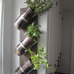 Indoor herb garden // Mason jar herb garden // mason jar decor // mason jar planter image 2