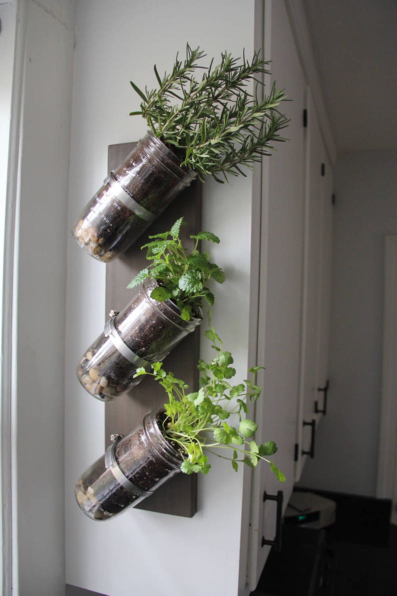 Indoor herb garden // Mason jar herb garden // mason jar decor // mason jar planter image 2