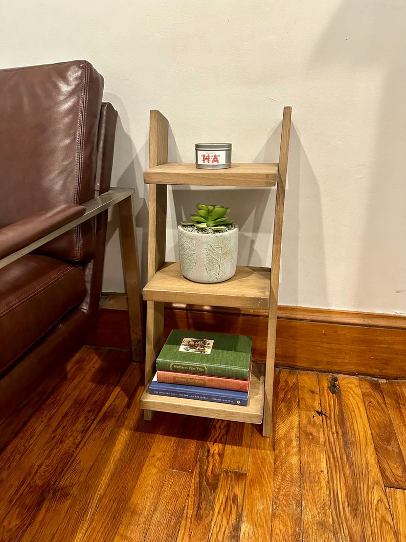 May include: A wooden ladder shelf with three shelves. The top shelf has a small tin can with the word "HA" printed on it. The middle shelf has a small potted succulent plant. The bottom shelf has a stack of three books. The shelf is standing on a wooden floor.