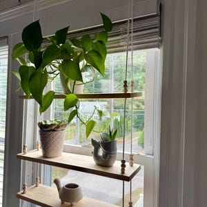 Window plant shelf // hanging plant shelf // Indoor herb garden // window herb garden // hanging window plant shelves
