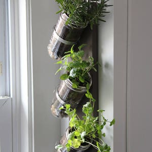 Indoor herb garden // Mason jar herb garden // mason jar decor // mason jar planter image 3