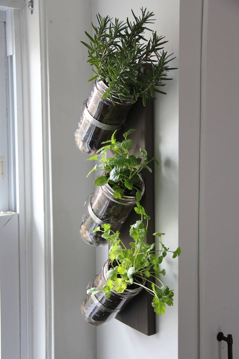 Indoor herb garden // Mason jar herb garden // mason jar decor // mason jar planter image 3