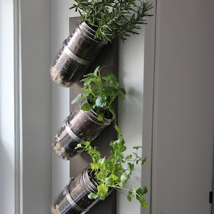 Indoor herb garden // Mason jar herb garden // mason jar decor // mason jar planter image 1