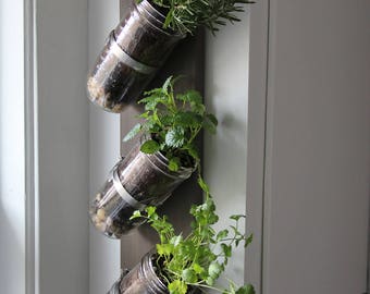 Indoor herb garden // Mason jar herb garden // mason jar decor // mason jar planter