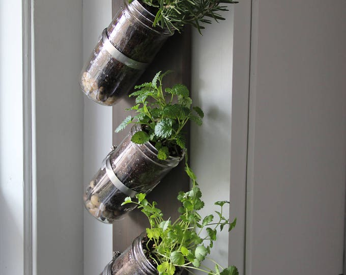 Indoor herb garden // Mason jar herb garden // mason jar decor // mason jar planter