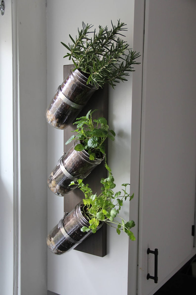 Indoor herb garden // Mason jar herb garden // mason jar decor // mason jar planter image 1