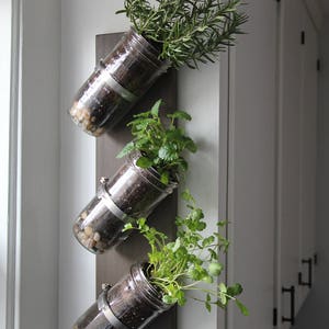 Indoor herb garden // Mason jar herb garden // mason jar decor // mason jar planter image 4