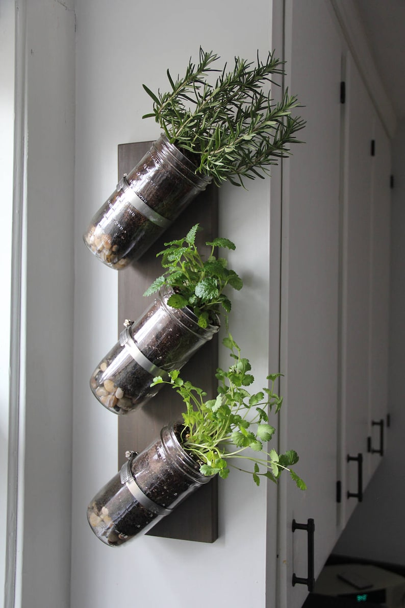 Indoor herb garden // Mason jar herb garden // mason jar decor // mason jar planter image 4