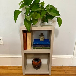 May include: A small, two-shelf bookcase with a light gray finish. The top shelf has a potted plant, a small wooden sculpture, and three books. The bottom shelf has a red and black ceramic vase.
