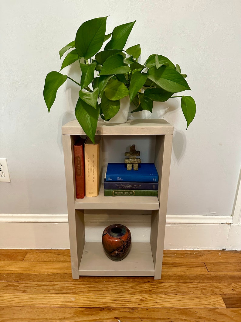May include: A small, two-shelf bookcase with a light gray finish. The top shelf has a potted plant, a small wooden sculpture, and three books. The bottom shelf has a red and black ceramic vase.