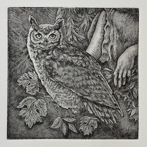 Athena&#39;s Owl, Great Horned Owl, Original etching, Limited Edition