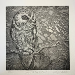 Song of the Saw-whet Owl, Original Etching, Limited edition
