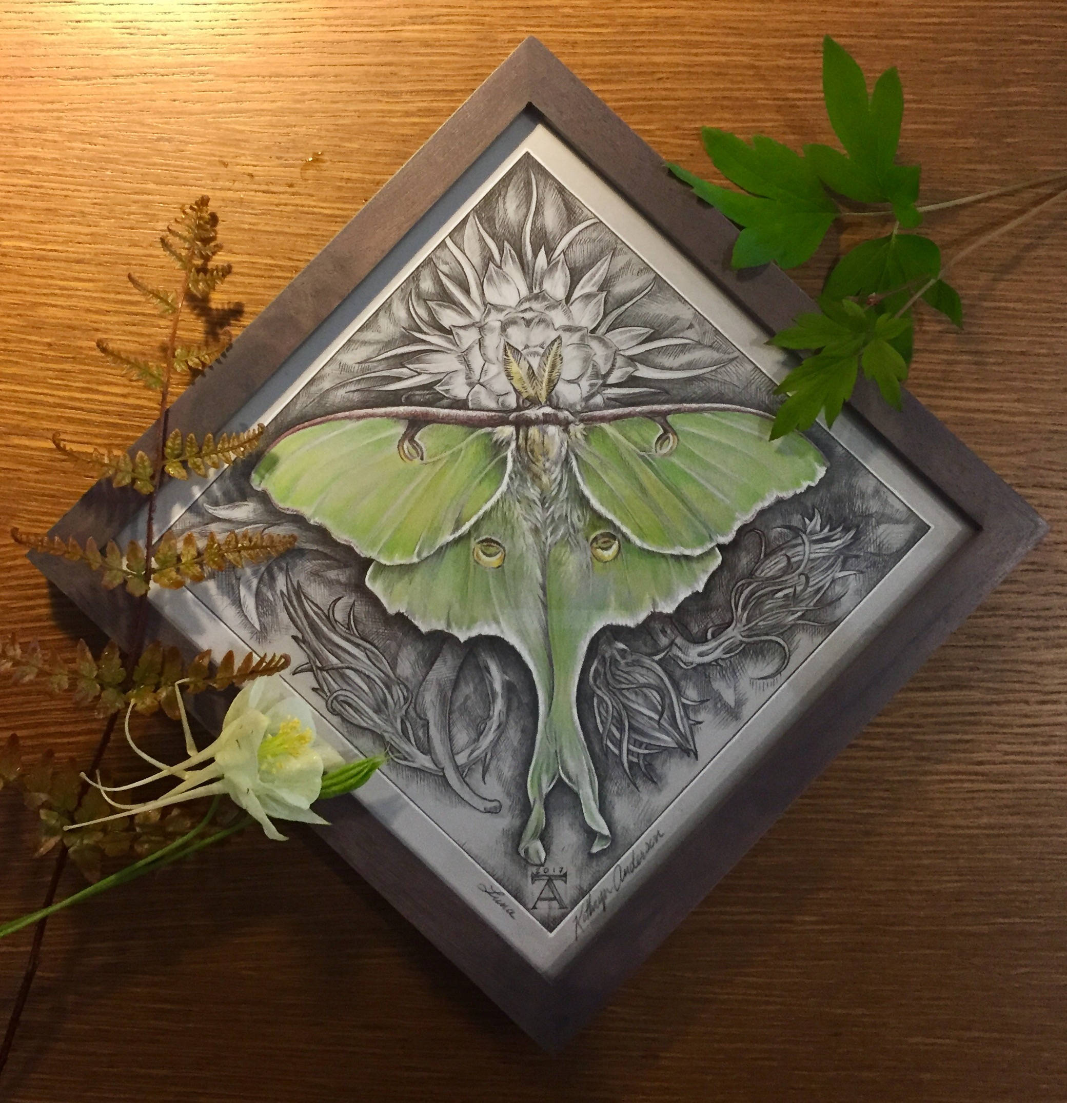 Luna Luna Moth Fine Art Print - Etsy