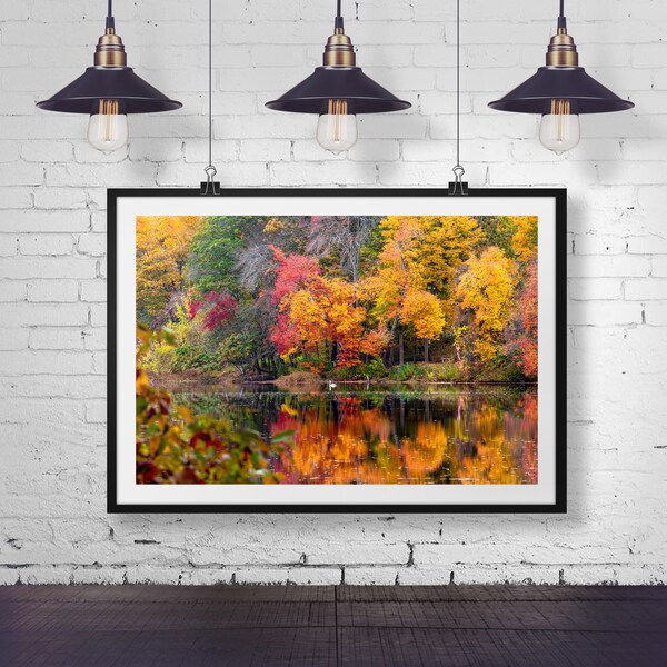 New England Fall Foliage Photography, Autumn Prints Wall Art, Massachusetts Autumn Pond Reflections, Fall Foliage Print, Autumn Photography